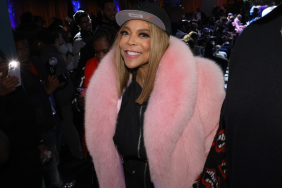 Wendy Williams gets a new three-part Peacock docuseries about her daytime television career