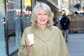 Martha Stewart Ditches Her Signature Look for Shocking New Pink Hair