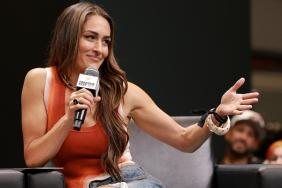 Nikki Bella Gives Blunt Update on Her Love Life After Divorce