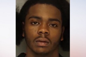 Car Thief Ran Over Grandmother Sentence Judgement Darius Wolfe