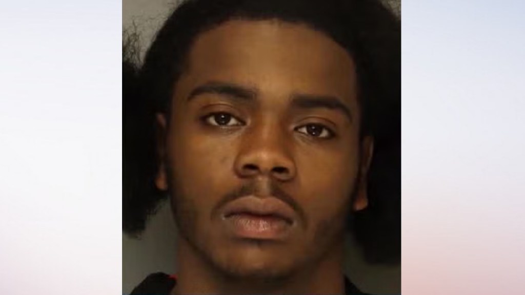 Car Thief Ran Over Grandmother Sentence Judgement Darius Wolfe