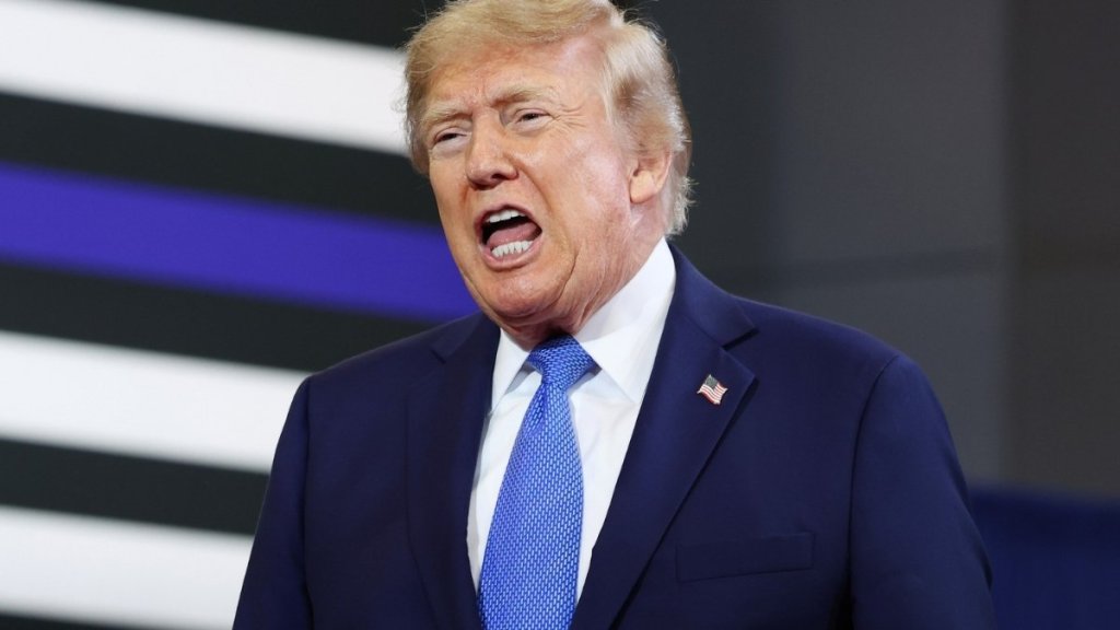 Donald Trump Turns on Fox News' Shannon Bream in Furious MAGA Broadside