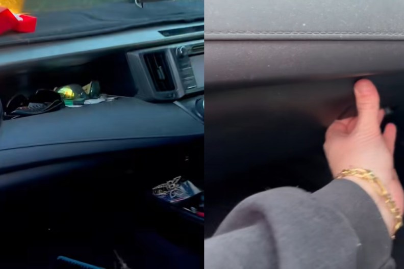 Man Finds Dangerous Animal Hiding Glove Compartment Snake Python Australia Queensland