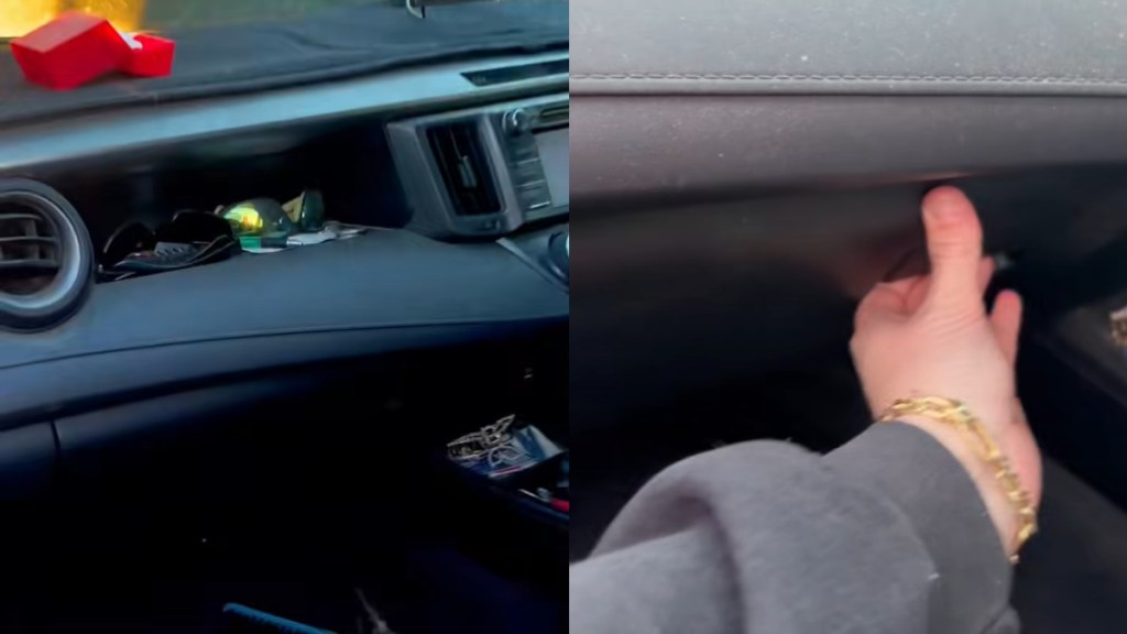 Man Finds Dangerous Animal Hiding Glove Compartment Snake Python Australia Queensland