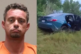 Man Stolen Dog Goes Rampage Road Rage Florida