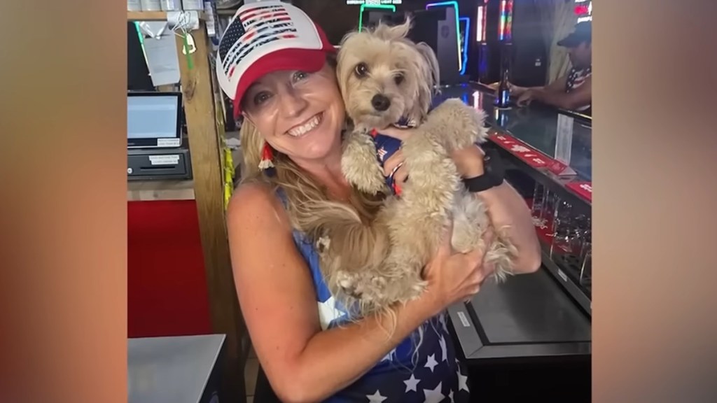 Pet Sitter Accused Kicking Owner's Dogs Stealing Property Rover App Florida