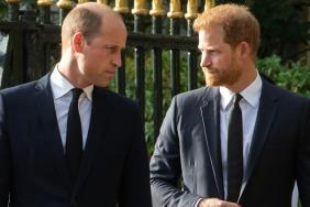 One Royal Member Wants Prince Harry & Prince William to 'Grow Up' — Report