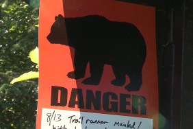 Bear Attack Woman Quick Thinking Bite Runner Alaska Trail Solo Runner
