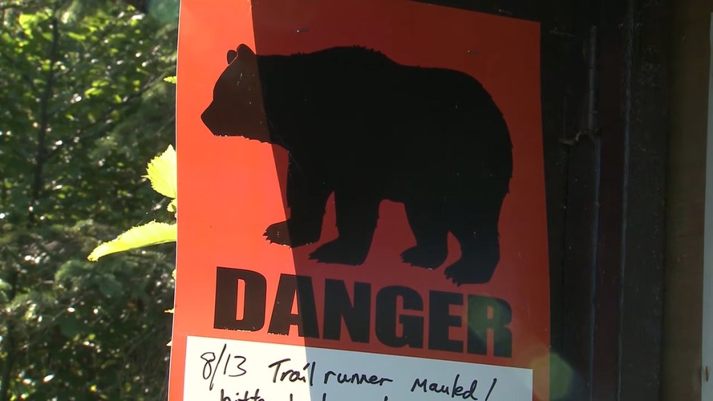Bear Attack Woman Quick Thinking Bite Runner Alaska Trail Solo Runner