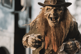 Warwick Davis