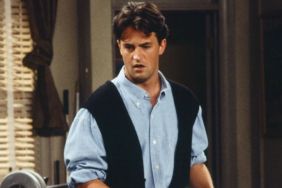 Netflix Announces New Matthew Perry TV Show, Release Date & Details Revealed