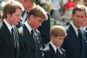 Princess Diana's Brother Reveals What He Thinks About Prince Harry-Prince William Rift
