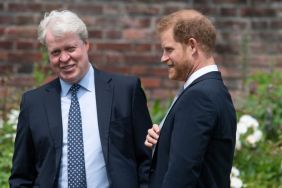 Prince Harry’s Earl Spencer Alliance Is More Business Than Blood — Expert