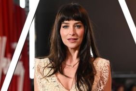 Dakota Johnson Goes Completely Sheer, Putting Her Thong on Full Display