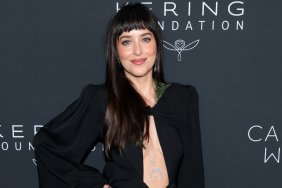 Dakota Johnson Leaves Her Midriff Fully Exposed in a Seriously Risqué Dress