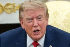 Donald Trump's Reaction to Tiger Woods' Plea Deal Says Everything