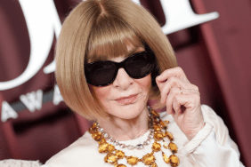 Anna Wintour Allegedly Branded Dolly Parton ‘Too Camp’ for Vogue — Source