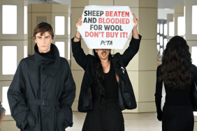 NYFW Protest Takes Wild Turn as CFDA CEO Restrains PETA Activists