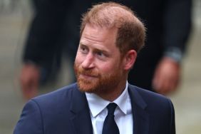 Earl Spencer Plays Coy About Prince Harry Diana Film Plans — Report