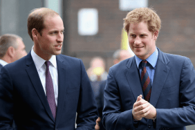 Prince William Brands Prince Harry a ‘Traitor’ Over Diana Memoir Drama — Source