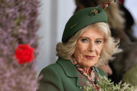Queen Camilla Suffers Huge Blow After Cutting off One Family Member — Source