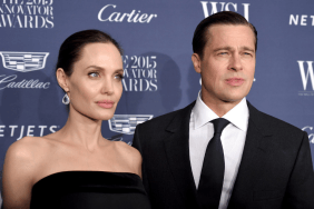 Angelina Jolie Hits Back as Brad Pitt Winery Fight Takes New Turn