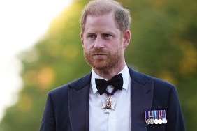prince harry