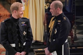 prince william