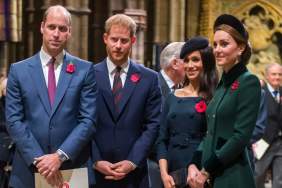 Kate Middleton’s Olive Branch for Harry & Meghan Isn’t What You Expect — Source