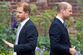 Prince Harry’s Royal Divide With Prince William Laid Bare at Major Event — Source