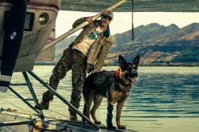 Brad Pitt’s Heart of the Beast Holds Its Own at Box Office Amid Stiff Competition
