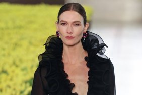 Karlie Kloss Leaves Little to the Imagination in Fully See-Through Dress