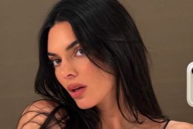Kendall Jenner’s Thong-Baring Sheer Fit Comes With Deeply Plunging Bra