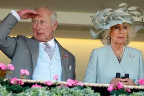 Senior Royal Takes a Swipe at Prince Harry & Meghan Markle Amid Diana Book Buzz — Report