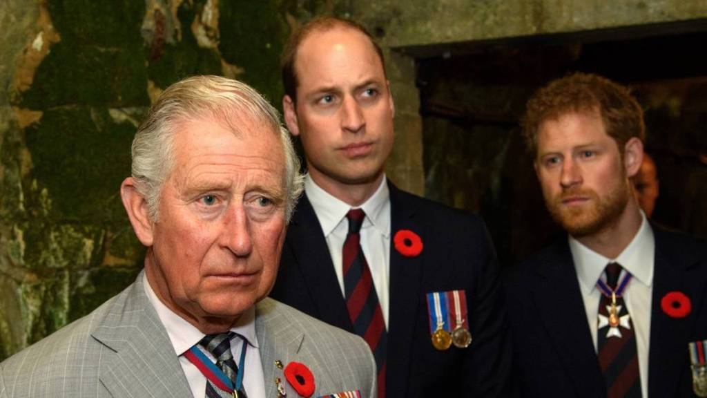 King Charles Treated Prince William as ‘Equal’ but Prince Harry Differently — Expert