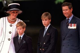 Princess Diana Kept One Prince Harry Secret From King Charles — Author