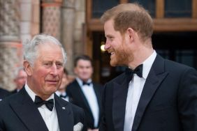 King Charles’ Brutal Ultimatum to Prince Harry Threatens His UK Future — Source