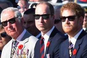 Prince William & King Charles 'Very Uncomfortable' With Harry's New Alliance — Source
