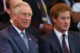 Prince Harry ‘Frustrated’ Over Being Pitted Against King Charles — Source