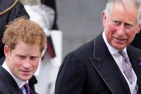 King Charles Might Make a Move on Prince Harry's Birthday — Royal Butler