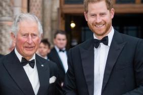 King Charles Diana Memoir Statement Echoes a Past Prince Harry Connection — Report