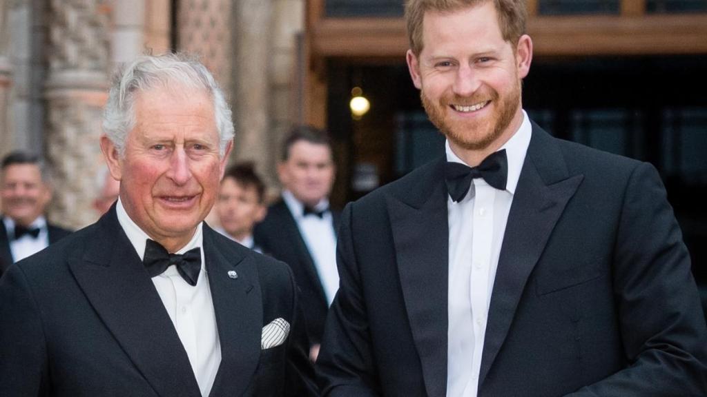 King Charles Diana Memoir Statement Echoes a Past Prince Harry Connection — Report