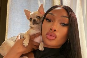 Megan Thee Stallion’s Skimpy Top Is Nothing but Cutouts Over Cheeky Thong