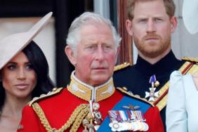 Prince Harry's Reaction to King Charles' 'Deliberate' Move Revealed — Source