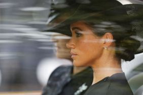 Meghan Markle's Name Comes Up at Dinner & One Guest 'Almost Left' — Expert