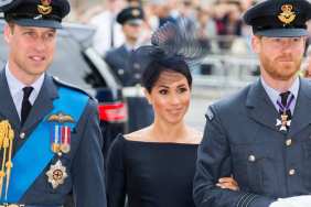 Prince William ‘Horrified’ by Meghan Markle’s Involvement in Diana Movie — Source