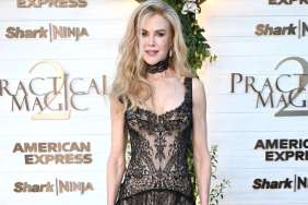 Nicole Kidman's High-Slit Dress Is Head-to-Toe See-Through