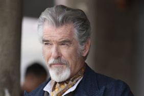 Pierce Brosnan Channeled His Inner ‘James Bond’ To Save Black Adam Actor