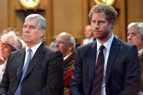 Ex-Prince Andrew Believes Prince Harry Damaged Royal Family — Source