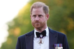 Prince Harry May Have Inspired Princess Diana’s Brother to Write His Book — Source